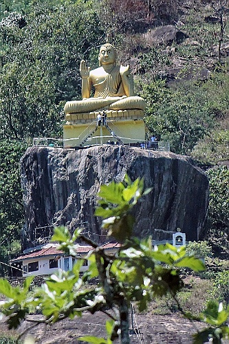 SriLan (610)